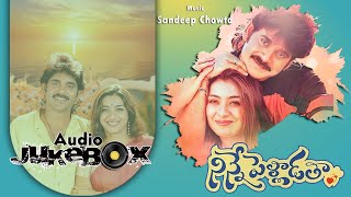 Ninne Pelladatha Telugu Songs Jukebox  Nagarjuna Tabu  Sandeep Chowta  ilovesongs90s [upl. by Aeslehs]