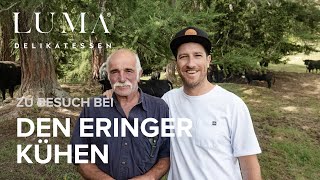 Zu Besuch bei den Eringer Kühen [upl. by Ettolrahc]