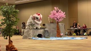 Phoenix 2022 Lion Dance Championship Joyous Spring Lion Dance [upl. by Bobette]