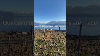 Pedal Through Vineyards Unique Experience in Lavaux World Heritage Site [upl. by Girovard]