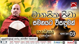 මානසික පීඩා සමනයට විසඳුමක්  භාවනා උපදේශන  2024 11 22 [upl. by Nelleyram997]