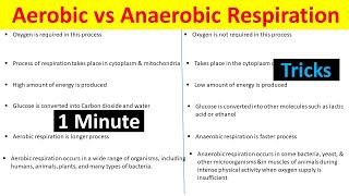 Aerobic vs Anaerobic Respiration Understanding the Differences BiologyLectures [upl. by Aihsetan219]