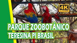 PARQUE ZOOBOTÂNICO DE TERESINA PIAUÍ BRASIL  TERESINA ZOO 4K [upl. by Rame]