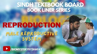 2012 MALE REPRODUCTIVE SYSTEM I CHAPTER 20 REPRODUCTION I CLASS XII [upl. by Alian]