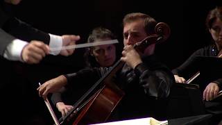 Elgar Cello Concerto mvt 3 [upl. by Ataner]