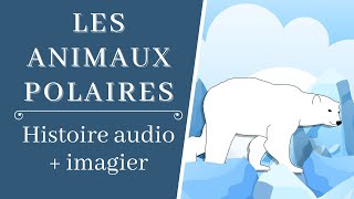 Histoire animaux polaires maternelle et plus  Histoire audio enfant [upl. by Ylime]