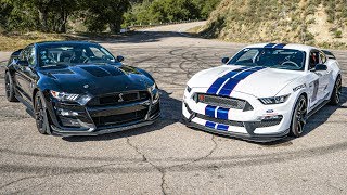 2020 SHELBY GT500 VS GT350R  HEAD TO HEAD ROAD COMPARISON [upl. by Orman952]