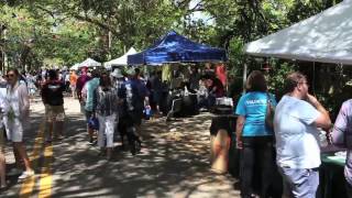 Gifford Lane Art Stroll 2017 [upl. by Belvia]