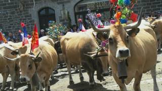 Fête de la transhumance en Aubrac [upl. by Fougere969]