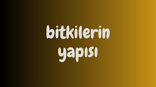 7  BİTKİLERİN YAPISI  2024 [upl. by Suoirred626]