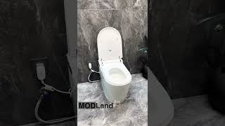 Stylish Bidet Toilet [upl. by Nordek86]