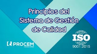 Principios del Sistema de Gestión de Calidad [upl. by Eninahs]