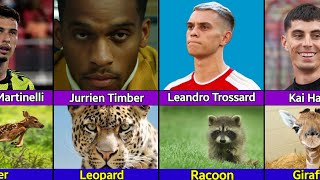 Arsenal players And The Animals That Associate With Them [upl. by Trauts]