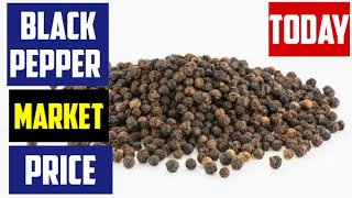 BLACK PEPPER INDIAN MARKET RATE TODAY [upl. by Aihsekram]