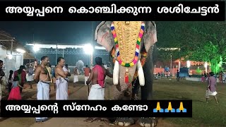 Mangalamkunnu Ayyappan l ഇവരുടെ സ്നേഹം കണ്ടോ🙏🙏🙏 [upl. by Divadnahtanoj]