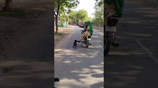 Dog Ne Kaat Liya Maalik Ko shorts youtubeshorts unexpectedvlogs vlogs [upl. by Naerb]