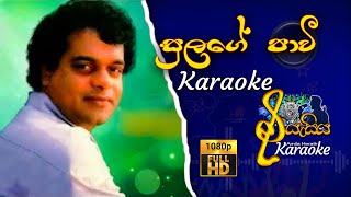 Sulage Pavi  සුලගේ පාවී  Miltan Mallawarachchi  Karaoke karaokesongs [upl. by Malas]