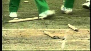 Jonty Rhodes Superman Runout World Cup 1992flv [upl. by Maye]