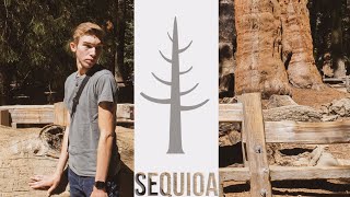 Sequoia National Park BEST HIKES [upl. by Anitteb]