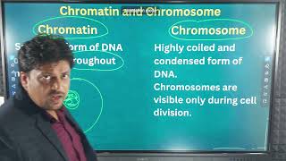 Chromatin and chromosome [upl. by Nebuer]