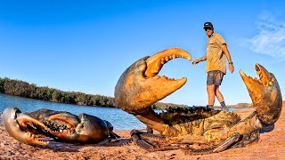 GIANT MUD CRAB CATCH AND COOK  NO FOOD [upl. by Gibbie]