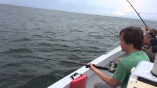 Captiva fishing  Snook [upl. by Airotciv]