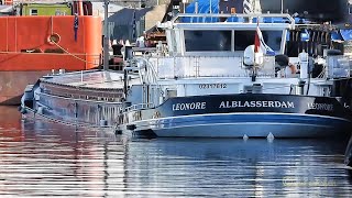 Binnenschiff GMS LEONORE PE3180 MMSI 244690245 ENI 02317612 inland cargo ship BJ 1970 Emden [upl. by Sirmons]