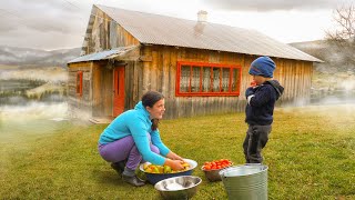 Living Off the Grid How a Big Family Finds Happiness in the Mountains [upl. by Tijnar]