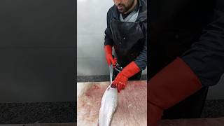 How to fillet a trout and remove the pin bones [upl. by Gerge]