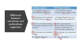 Difference between unicellular and multicellular organisms  Unicellular and multicellular organisms [upl. by Suzanne492]