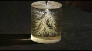 Lichtenberg figures in plexiglass [upl. by Ganley874]