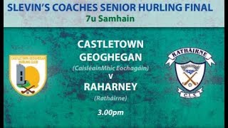 Westmeath Gaa Senior Hurling Final 2021 [upl. by Ricker]