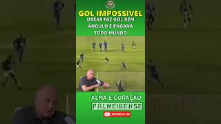 FELIPÃO FICOU PISTOLA NO GOL DO TÍTULO [upl. by Aemat]