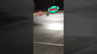 Cat Ran that Stop Sign [upl. by Aillij598]