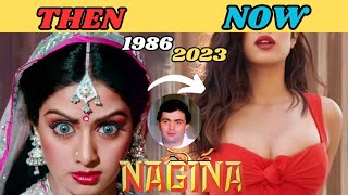 NAGINA 1986  NAGINA FULL MOVIE CAST 1986 TO 2023  RISHI KAPOOR  SRIDEVI  AMRISH PURI  nagina [upl. by Bremser]