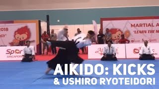 Aloyseus Lee Young Powerful amp Dynamic Aikido Part 2 [upl. by Erdrich]