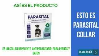 Parasital Collar de Petsfarma [upl. by Marga]