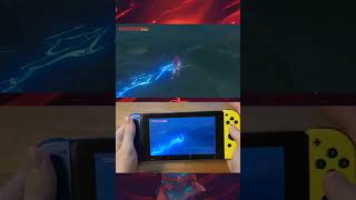 zelda botw BLSS trick handcam [upl. by Ococ398]