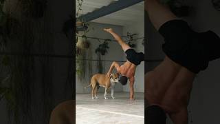 My coach dog 🐕 flexibility calisthenics motivation sports [upl. by Latnahs]