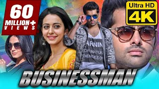 Businessman  बिजनेसमैन 4K ULTRA HD Superhit Full Movie  Ram Pothineni Rakul Preet Singh [upl. by Steinberg]