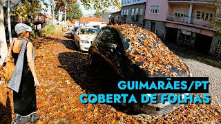 GUIMARÃƒES ESTÃ LINDA COBERTA DE FOLHAS AMARELAS QUE ANTECEDEM O INVERNO EM PORTUGAL [upl. by Dnesnwot]