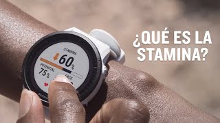 GARMIN ¿Qué es la Stamina [upl. by Rafaelof]