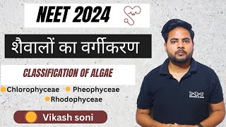 Algae Classification  Class 11 Biology  शैवालों का वर्गीकरण  कक्षा 11 जीवविज्ञान NEET 2024 [upl. by Killarney]