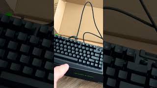 Honest Gaming Keyboard Review [upl. by Magdalen393]