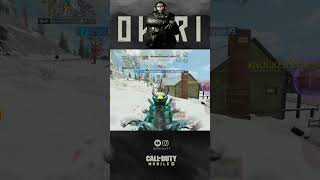 Type 19 has meta now  codm callofdutymobile shorts [upl. by Cynth]