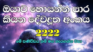 2222 angel number meaning  2222 දේවදූත අංකය [upl. by Ainnat]