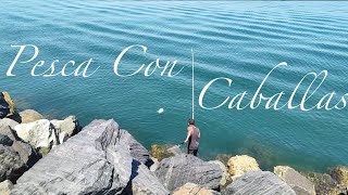 ðŸ”¥PESCANDO CON CABALLAS SIN PARARðŸ”¥SURFCASTING8TATTOO [upl. by Mahda]