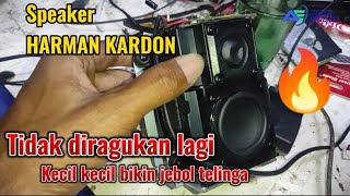 Tes speaker harman kardon giga genie 2 [upl. by Pryce516]