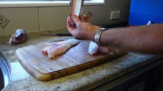 Filleting a Blue Cod with minimal waste [upl. by Giavani]