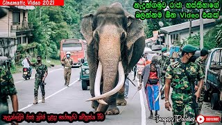 නැදුන්ගමුවේ රාජා  Cinemetic video [upl. by Namwob103]